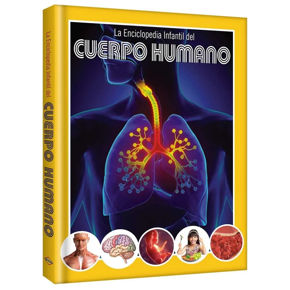 LA ENCICLOPEDIA INFANTIL DEL CUERPO HUMANO2