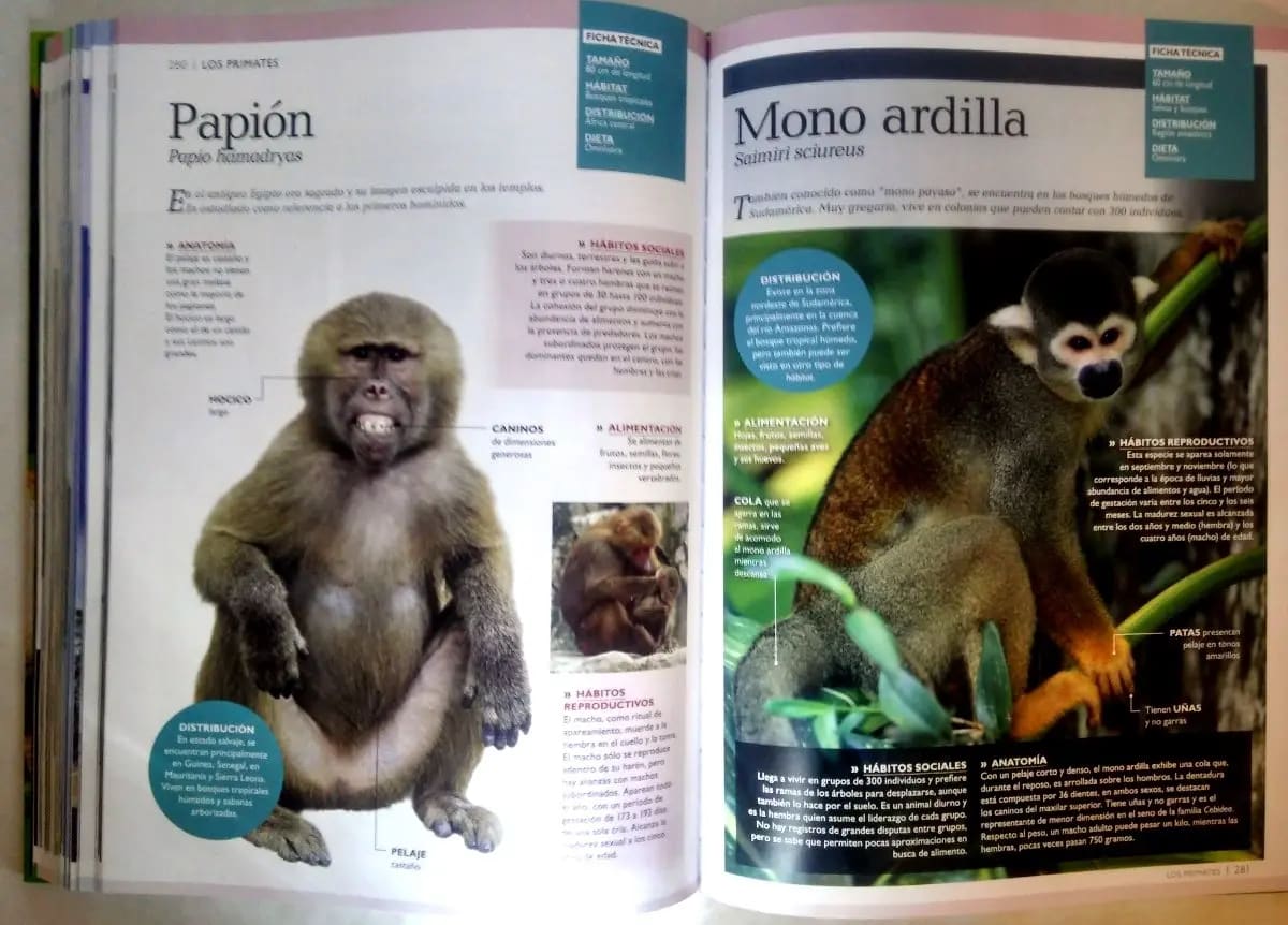 MUNDO ANIMAL CLASA2