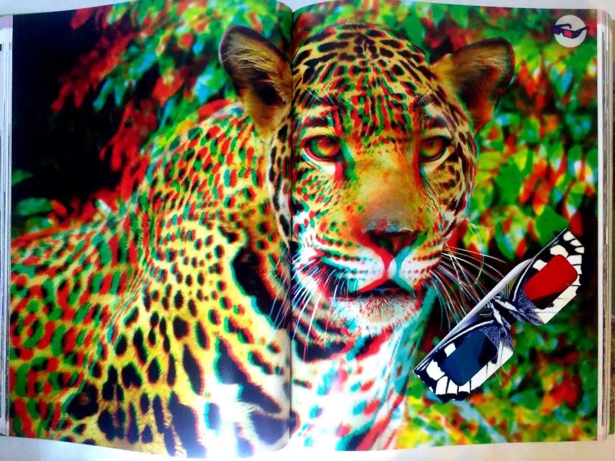 MUNDO ANIMAL CLASA3