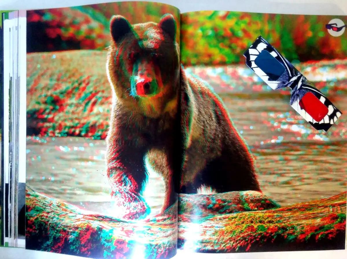 MUNDO ANIMAL CLASA4