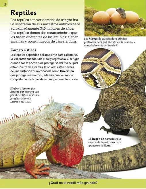 MUNDO ANIMAL - ENCICLOPEDIA ILUSTRADA PARA NIÑOS4