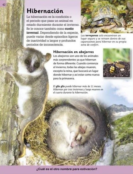 MUNDO ANIMAL - ENCICLOPEDIA ILUSTRADA PARA NIÑOS3