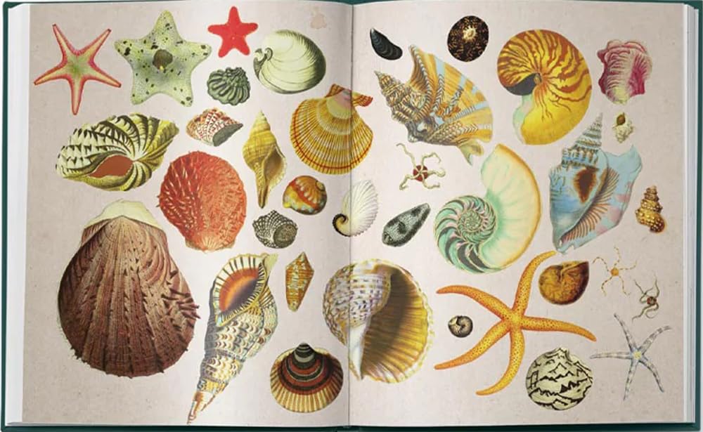 NATURALEZA ASOMBROSA. BELLEZA NATURAL2