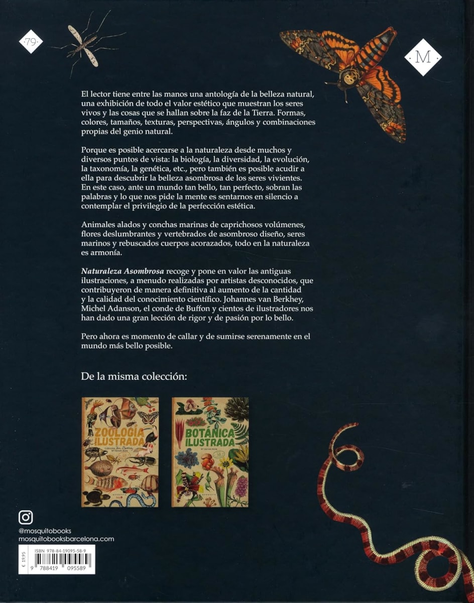 NATURALEZA ASOMBROSA. BELLEZA NATURAL3