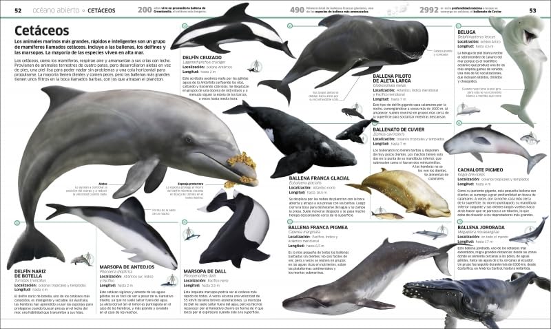 OCÉANOS DK - PENGUIN2