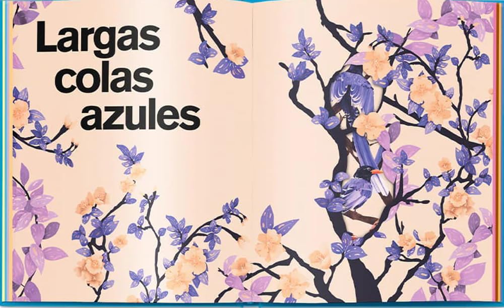 PÁJAROS ESCONDIDOS - MIA CASSANY, GEMMA PÉREZ2