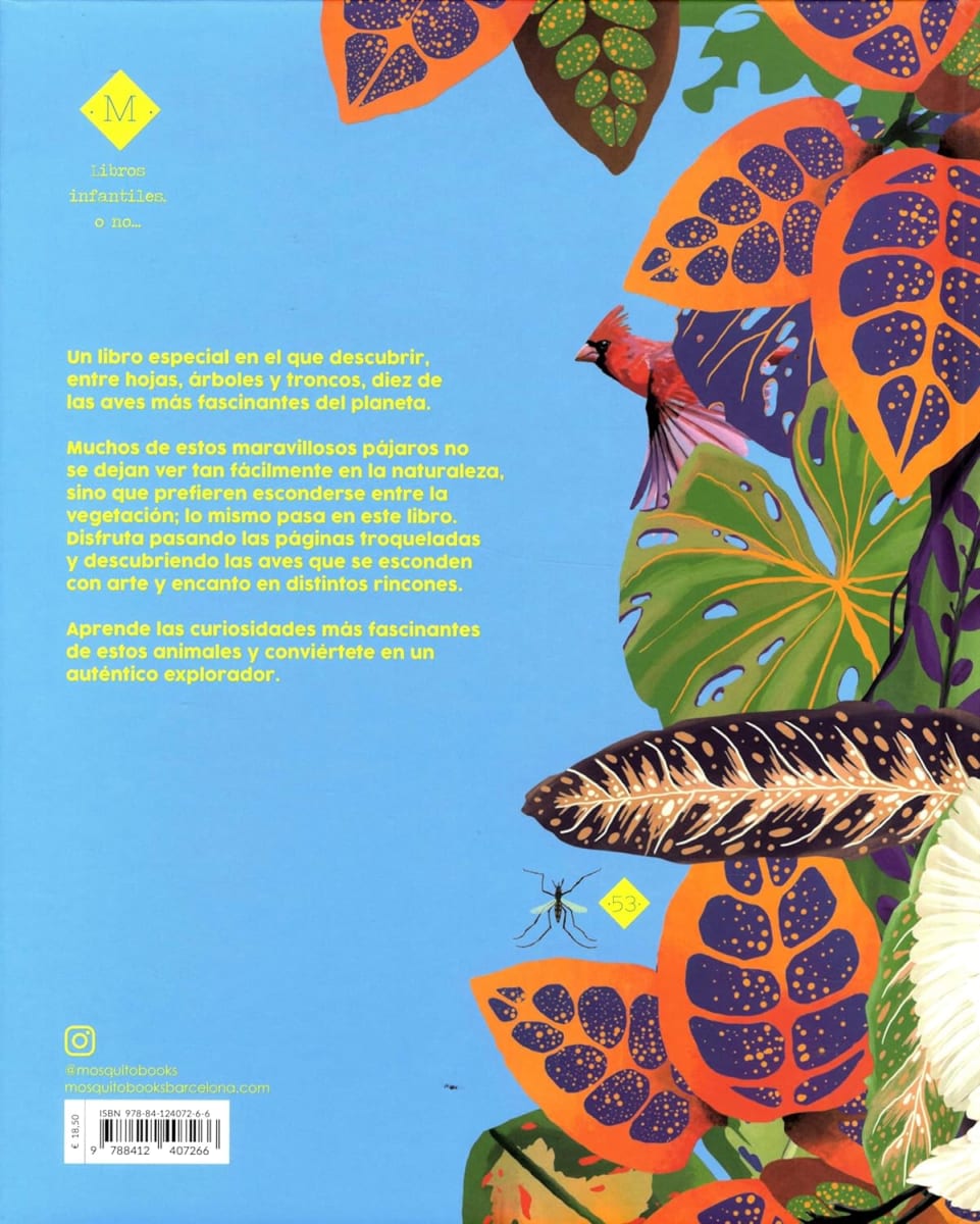 PÁJAROS ESCONDIDOS - MIA CASSANY, GEMMA PÉREZ3