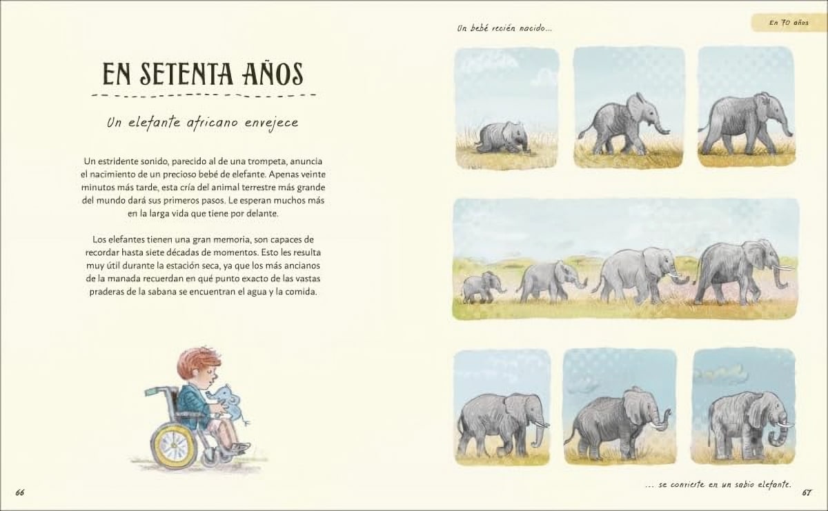 PACIENCIA - DESCUBRE LAS MARAVILLAS QUE NOS RODEAN- DK4