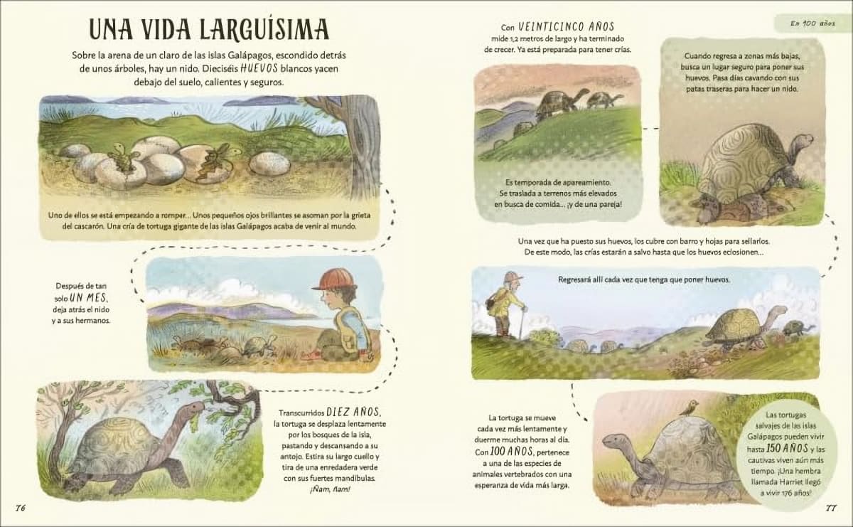 PACIENCIA - DESCUBRE LAS MARAVILLAS QUE NOS RODEAN- DK6