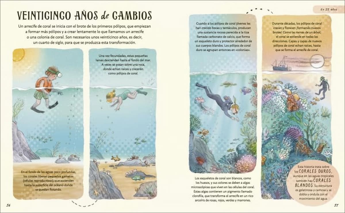 PACIENCIA - DESCUBRE LAS MARAVILLAS QUE NOS RODEAN- DK3