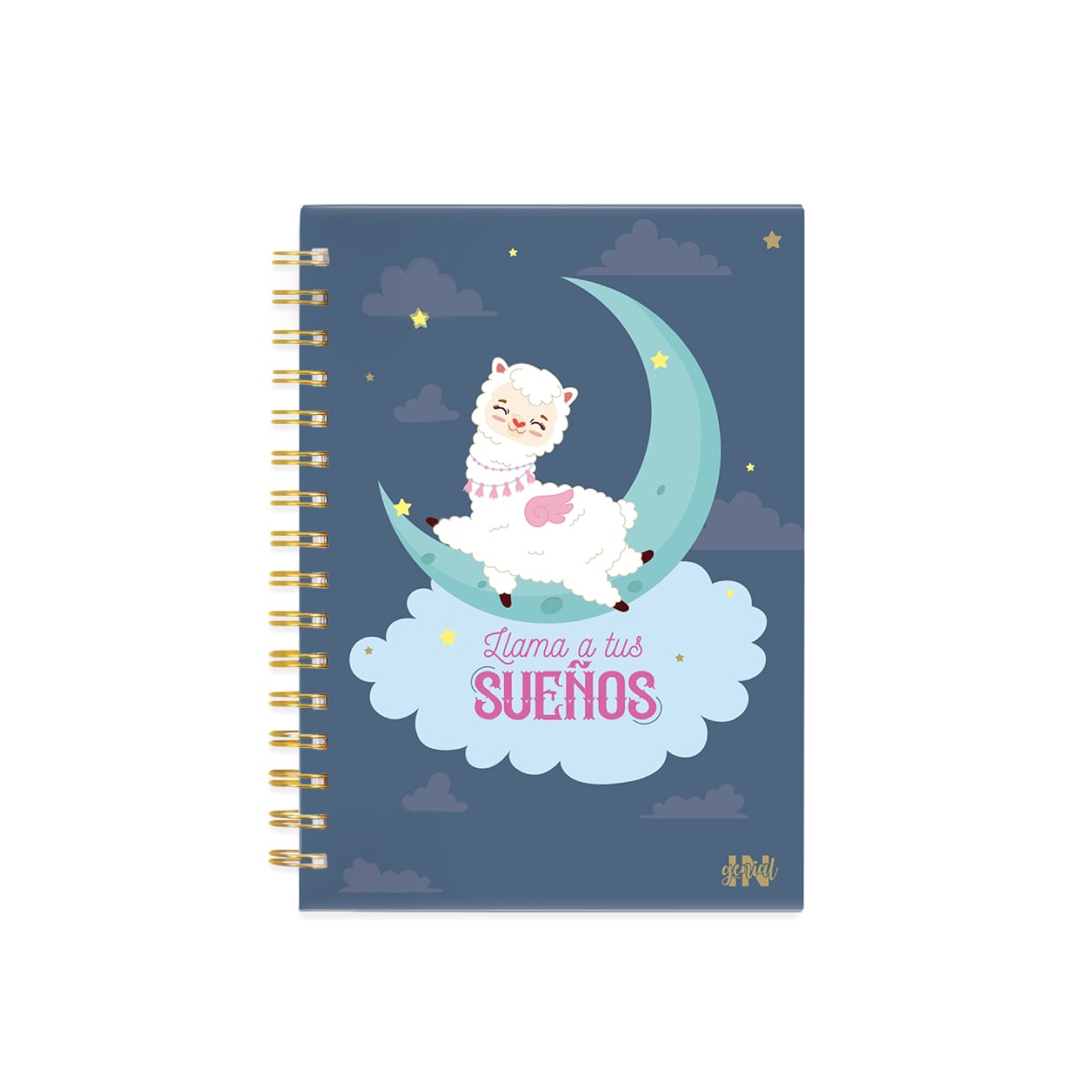 DIARIO INGENIAL LLAMI1