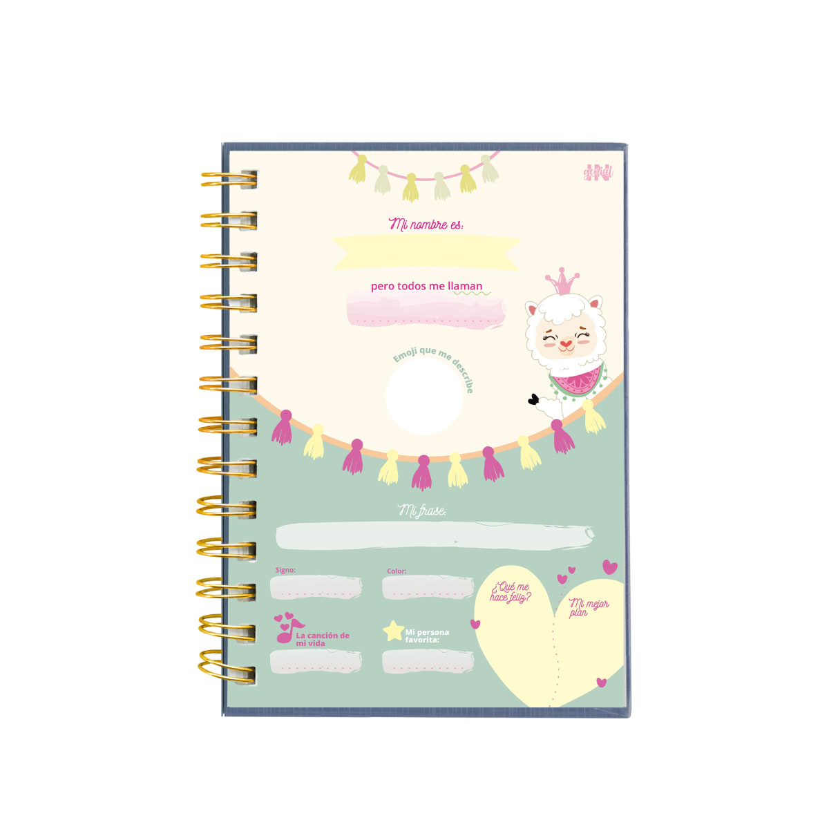 DIARIO INGENIAL LLAMI4