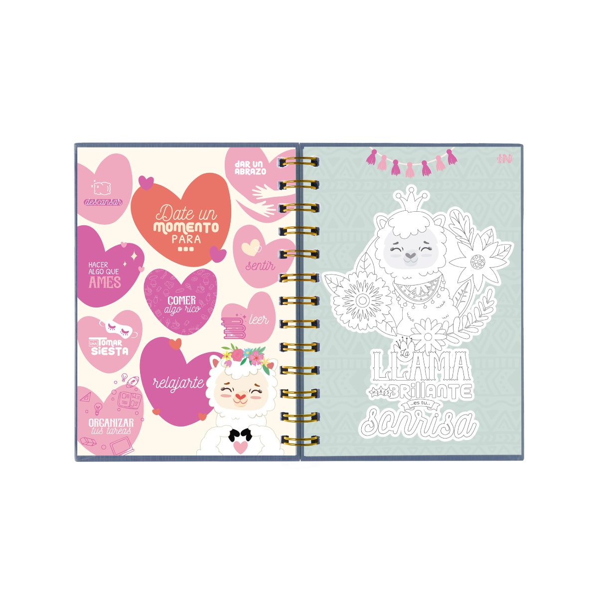 DIARIO INGENIAL LLAMI3