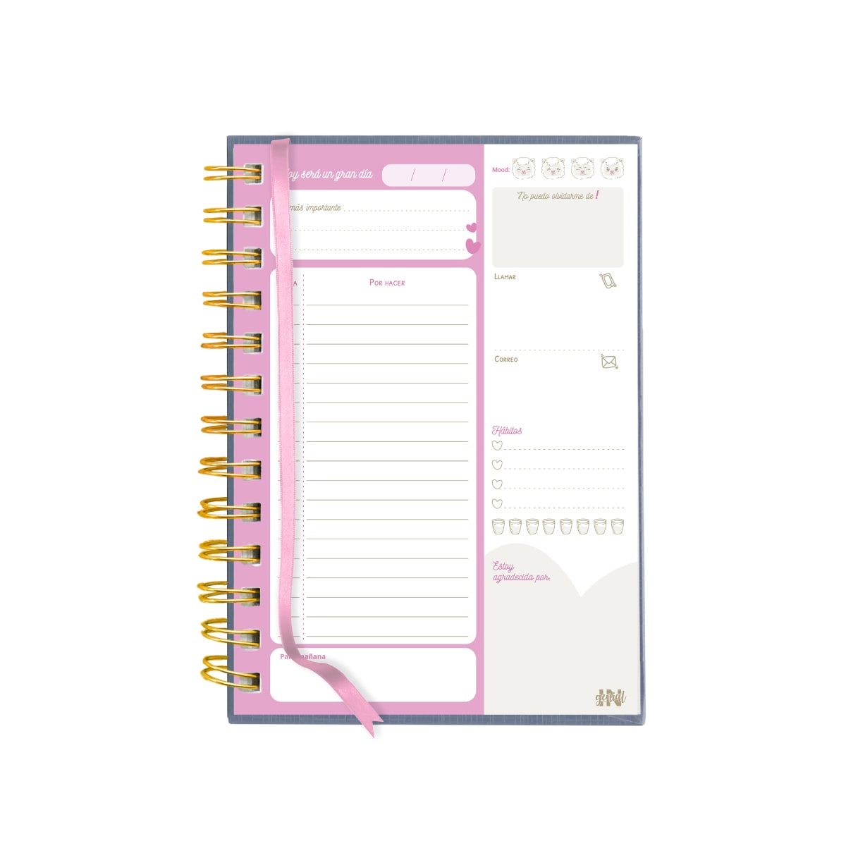 DIARIO INGENIAL LLAMI2