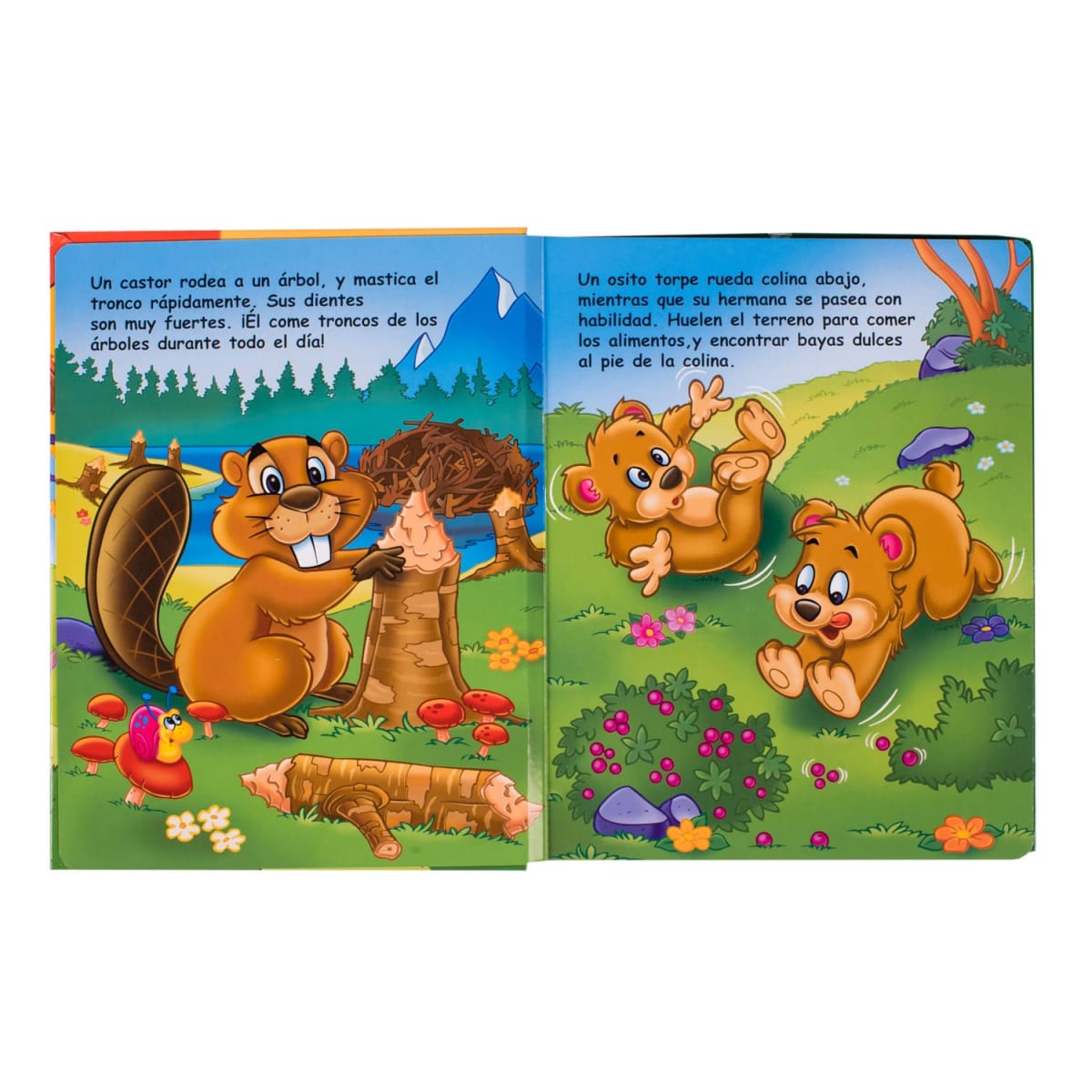 AMIGOS DEL BOSQUE3