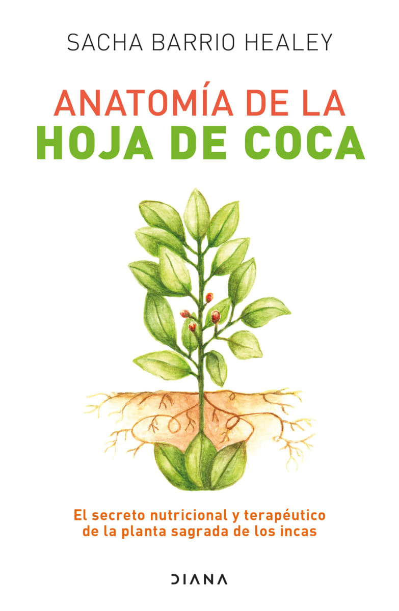 ANATOMÍA DE LA HOJA DE COCA1