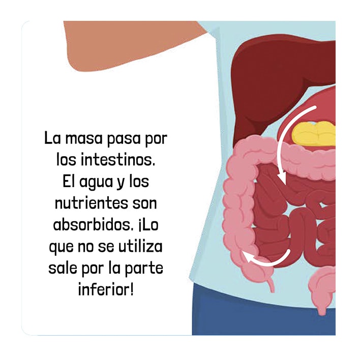 EL CUERPO HUMANO-UNA AVENTURA CIENTIFICA DESPLEGABLE2
