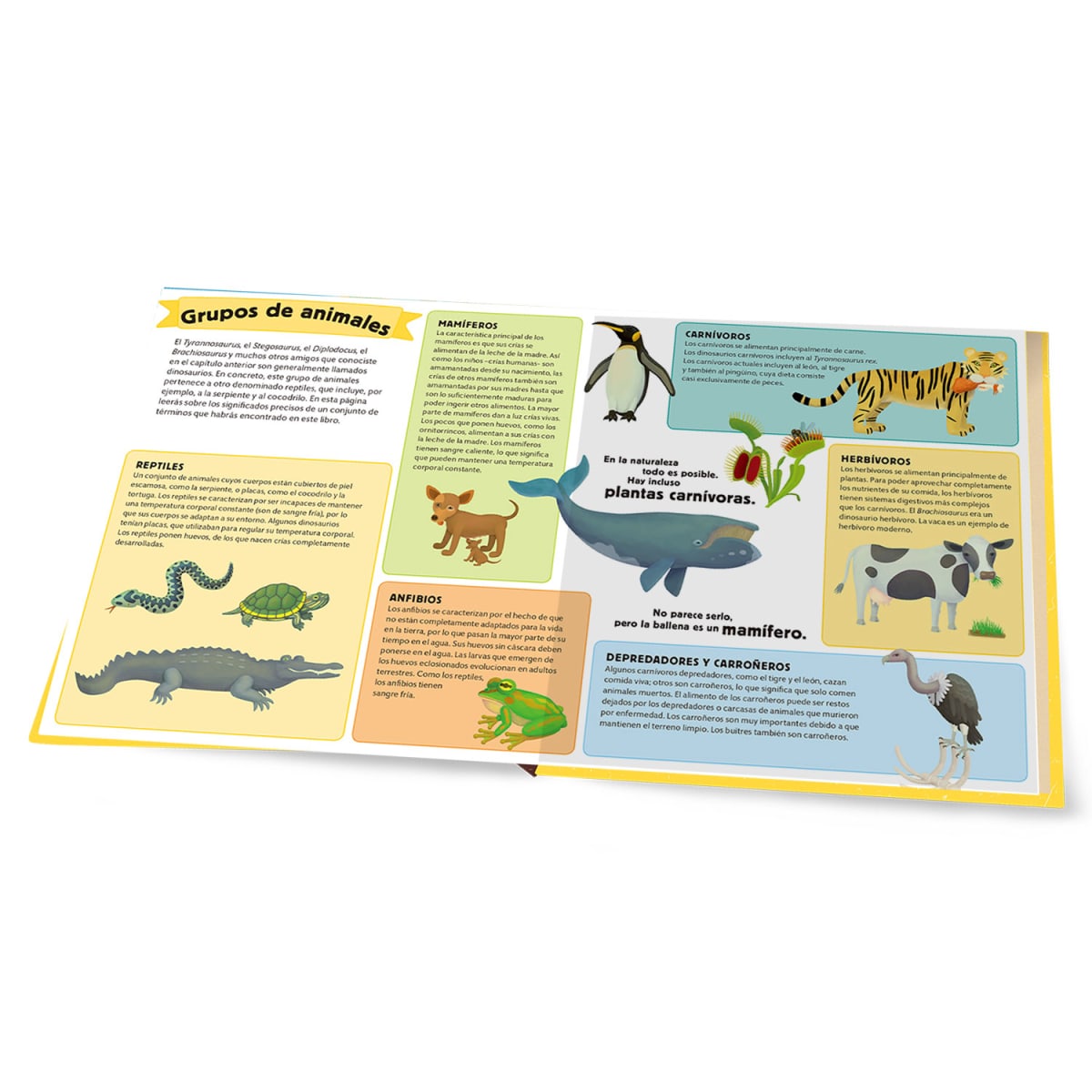 ATLAS DEL MUNDO PREHISTORICO3