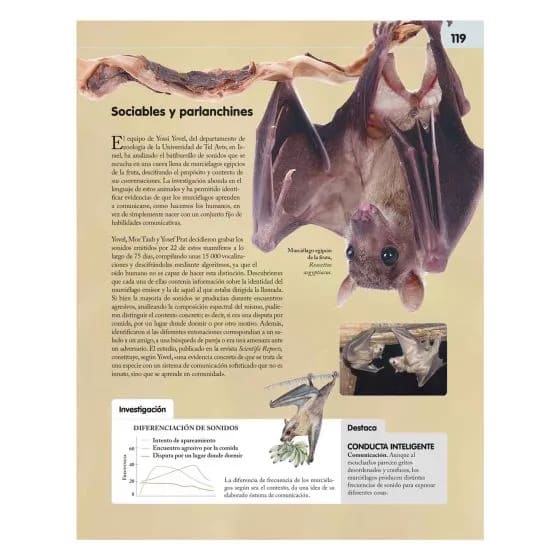 REINO ANIMAL INTELIGENTE - MARÍA SÁNCHEZ VADILLO4