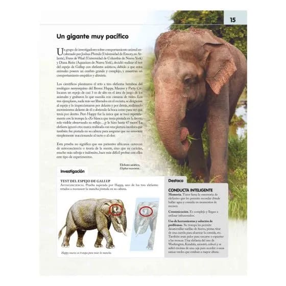 REINO ANIMAL INTELIGENTE - MARÍA SÁNCHEZ VADILLO3