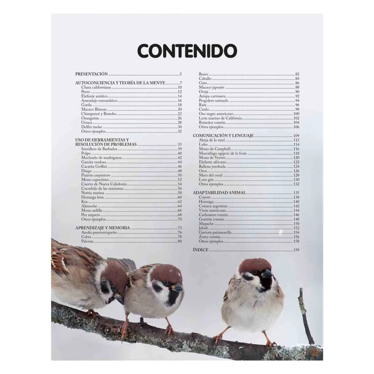 REINO ANIMAL INTELIGENTE - MARÍA SÁNCHEZ VADILLO2