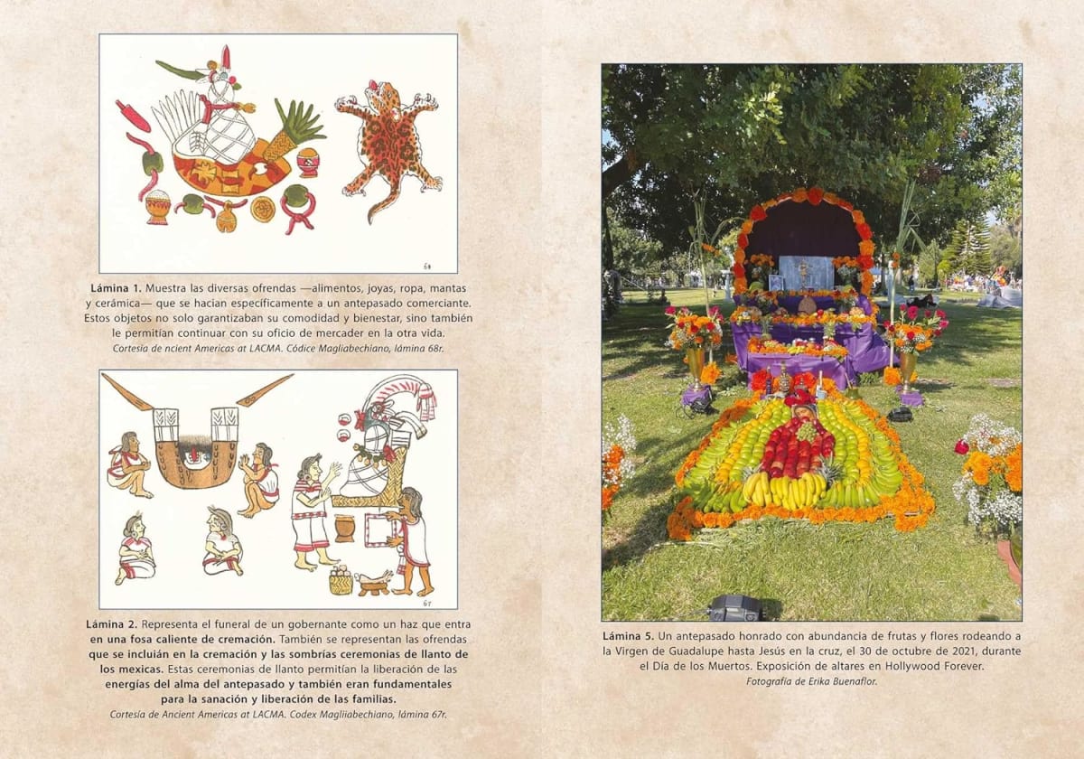 RITOS DE VENERACIÓN DEL CURANDERISMO - ERIKA BUENAFLOR, M.A.3