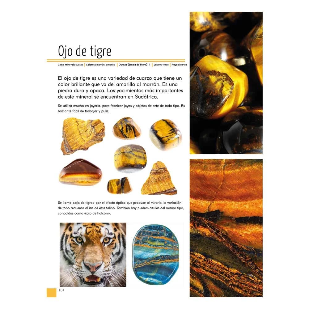 ROCAS Y MINERALES ENCICLOPEDIA JUNIOR2