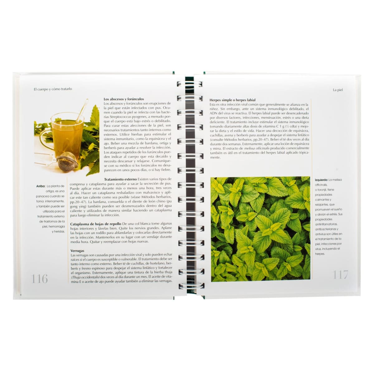 PLANTAS MEDICINALES2