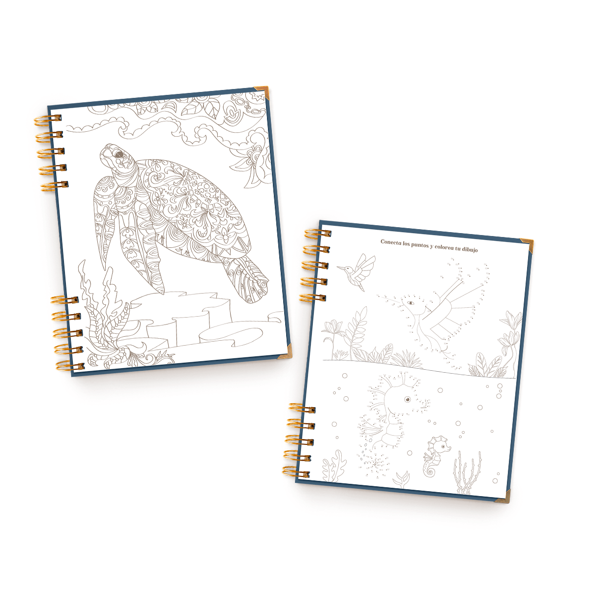 AGENDA CON FECHAS LIBRE VIVE4