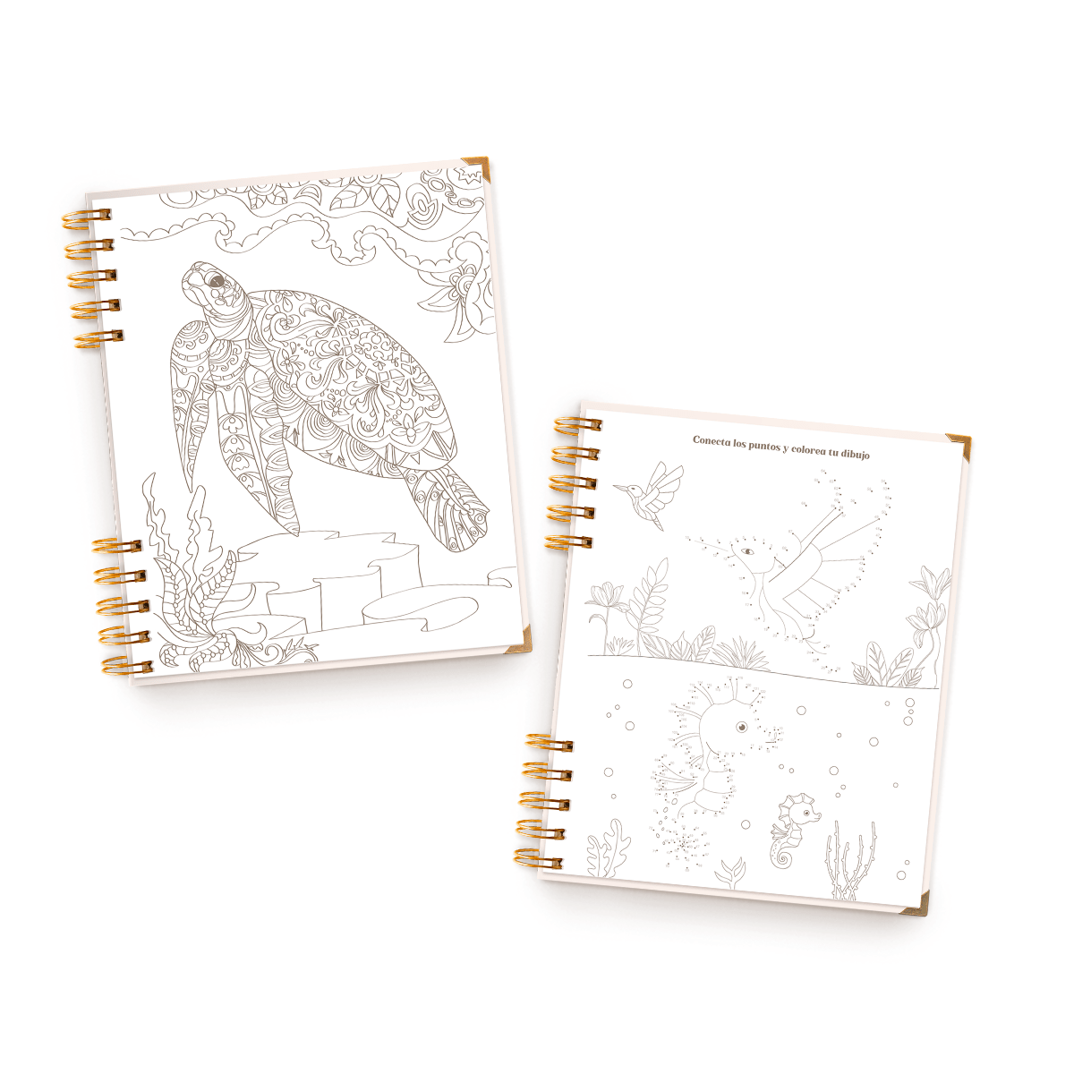 AGENDA VOY A CREAR LA VIDA QUE DESEO4