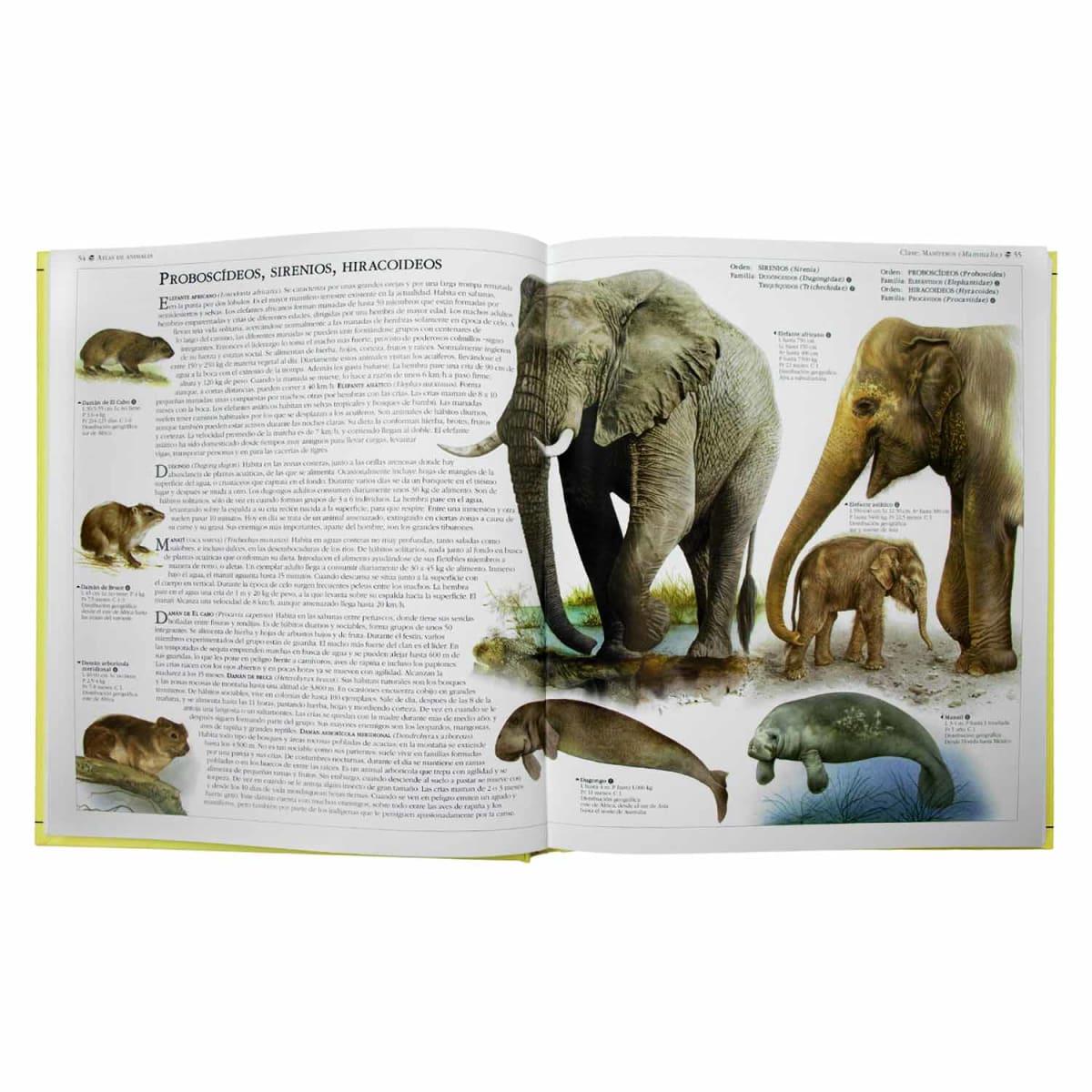 ATLAS DE ANIMALES3