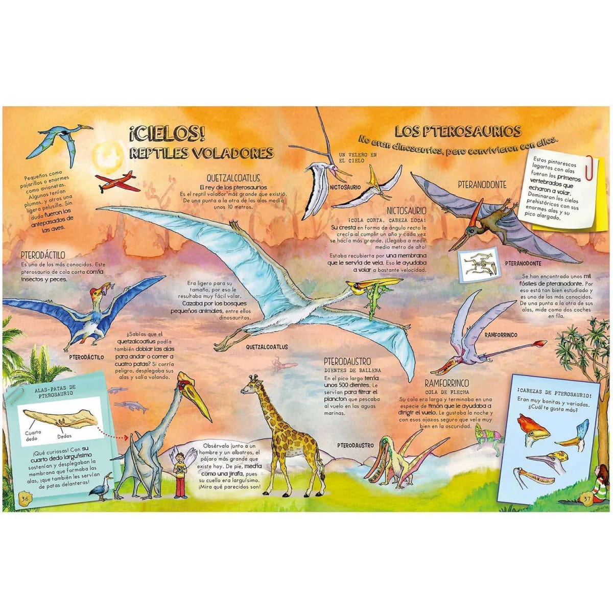 DESCUBRE LA VIDA DE LOS DINOSAURIOS2
