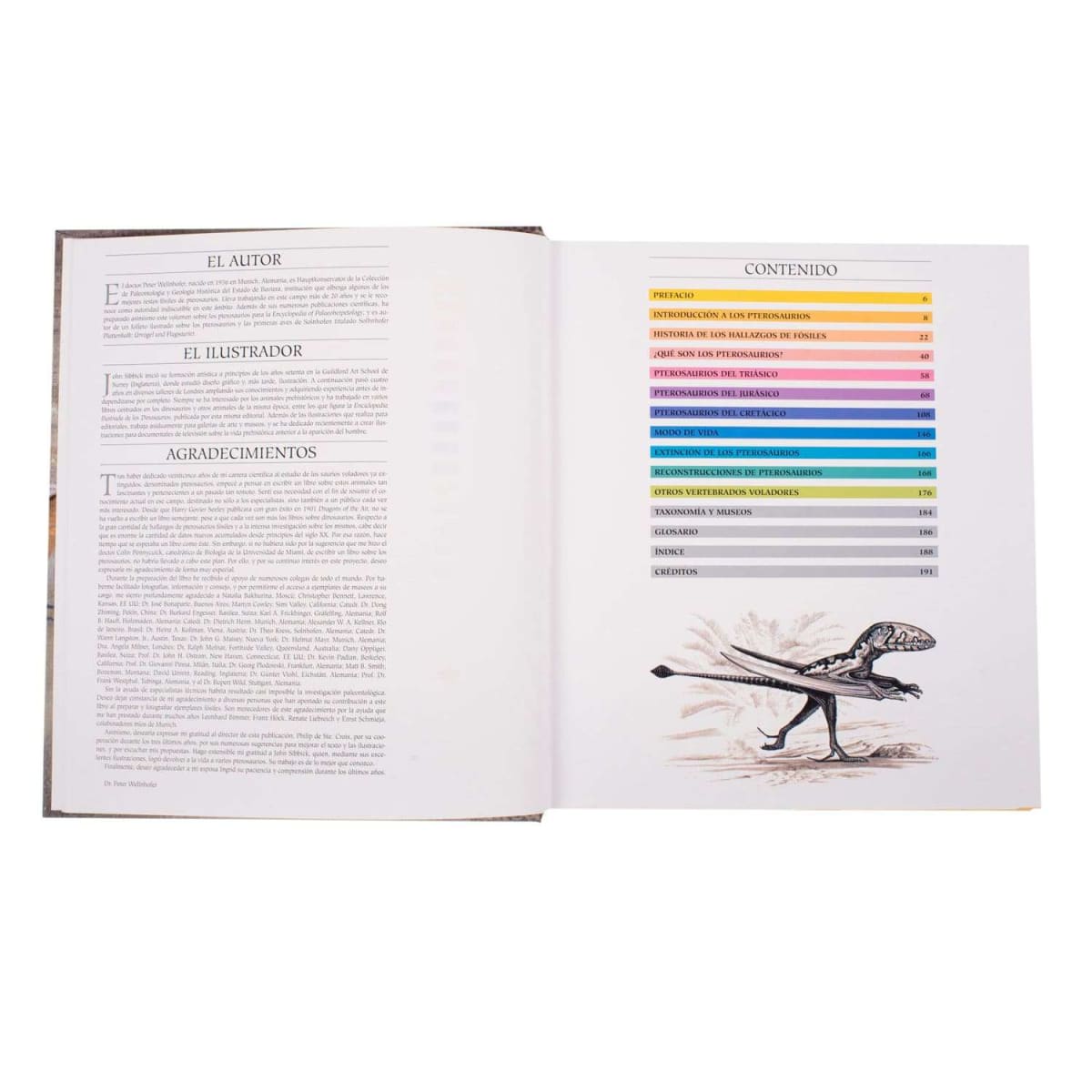 DINOSAURIOS VOLADORES2