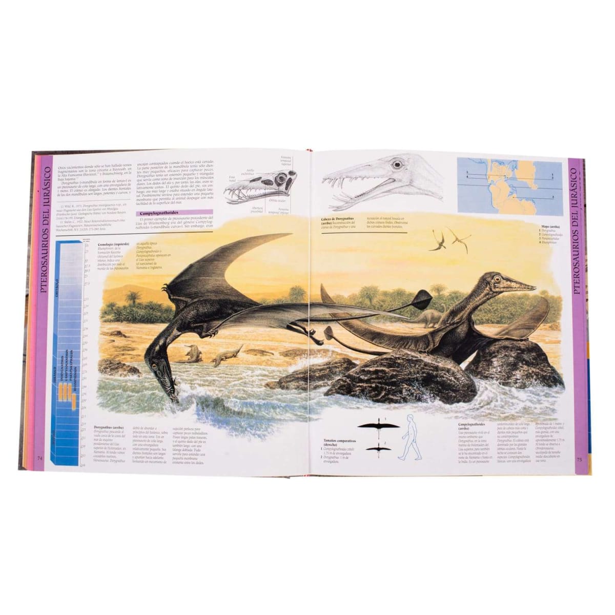 DINOSAURIOS VOLADORES3