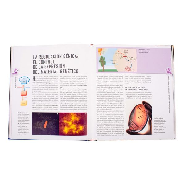 GENETICA ATLAS ILUSTRADO3