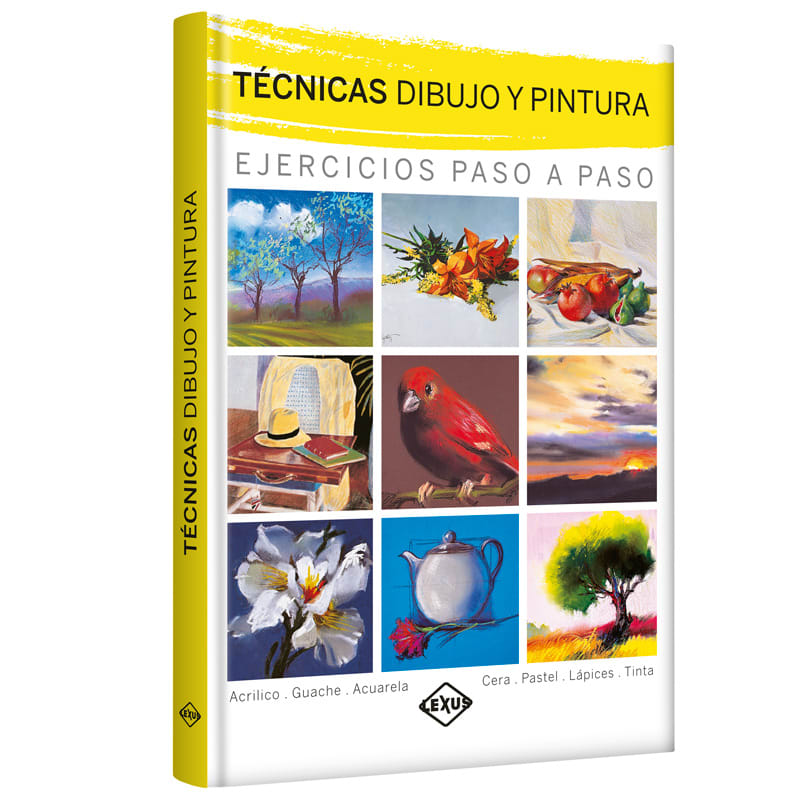 TECNICAS DE DIBUJO Y PINTURA1