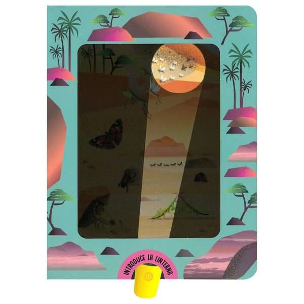 LIBRO LINTERNA INSECTOS 3