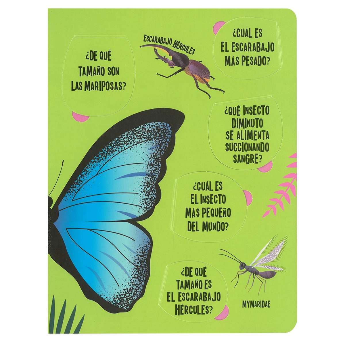 LIBRO LINTERNA INSECTOS 2