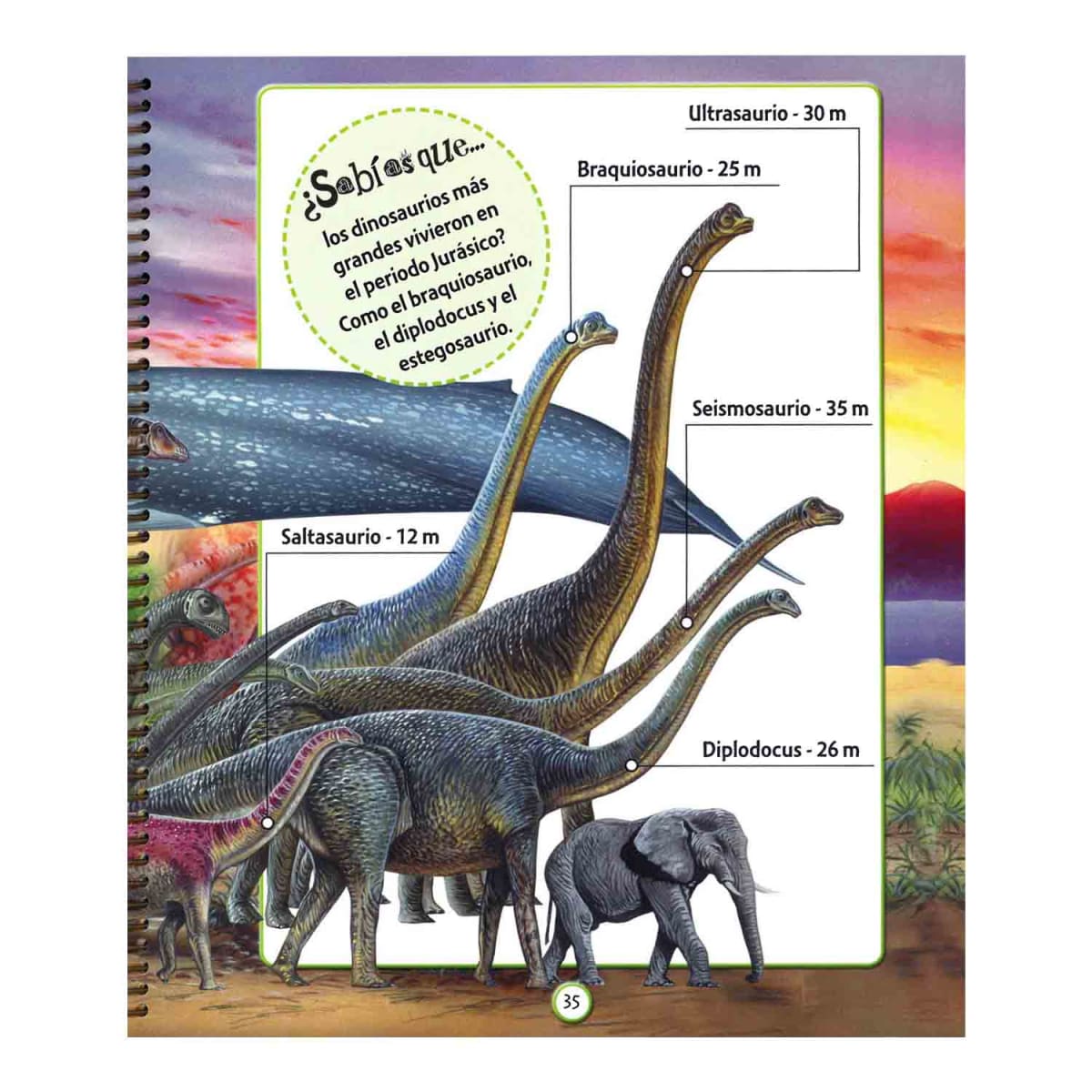 EXPLORA LOS DINOSAURIOS2