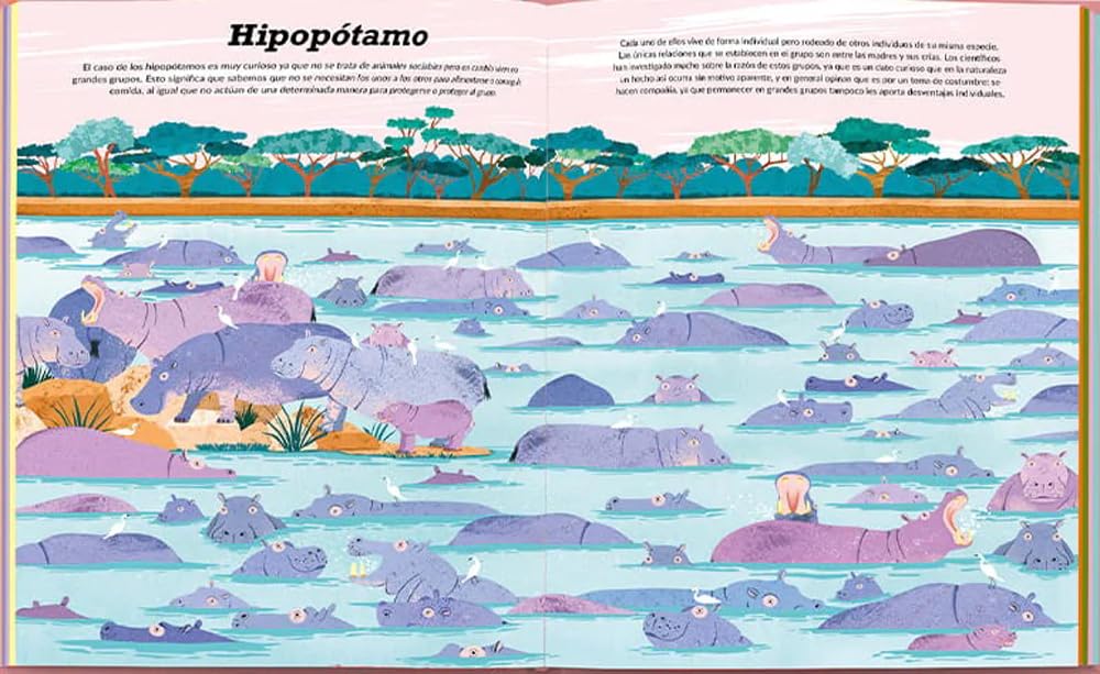 UNO, UN MILLÓN. ANIMALES QUE VIVEN SOLOS  O EN GRUPOS3