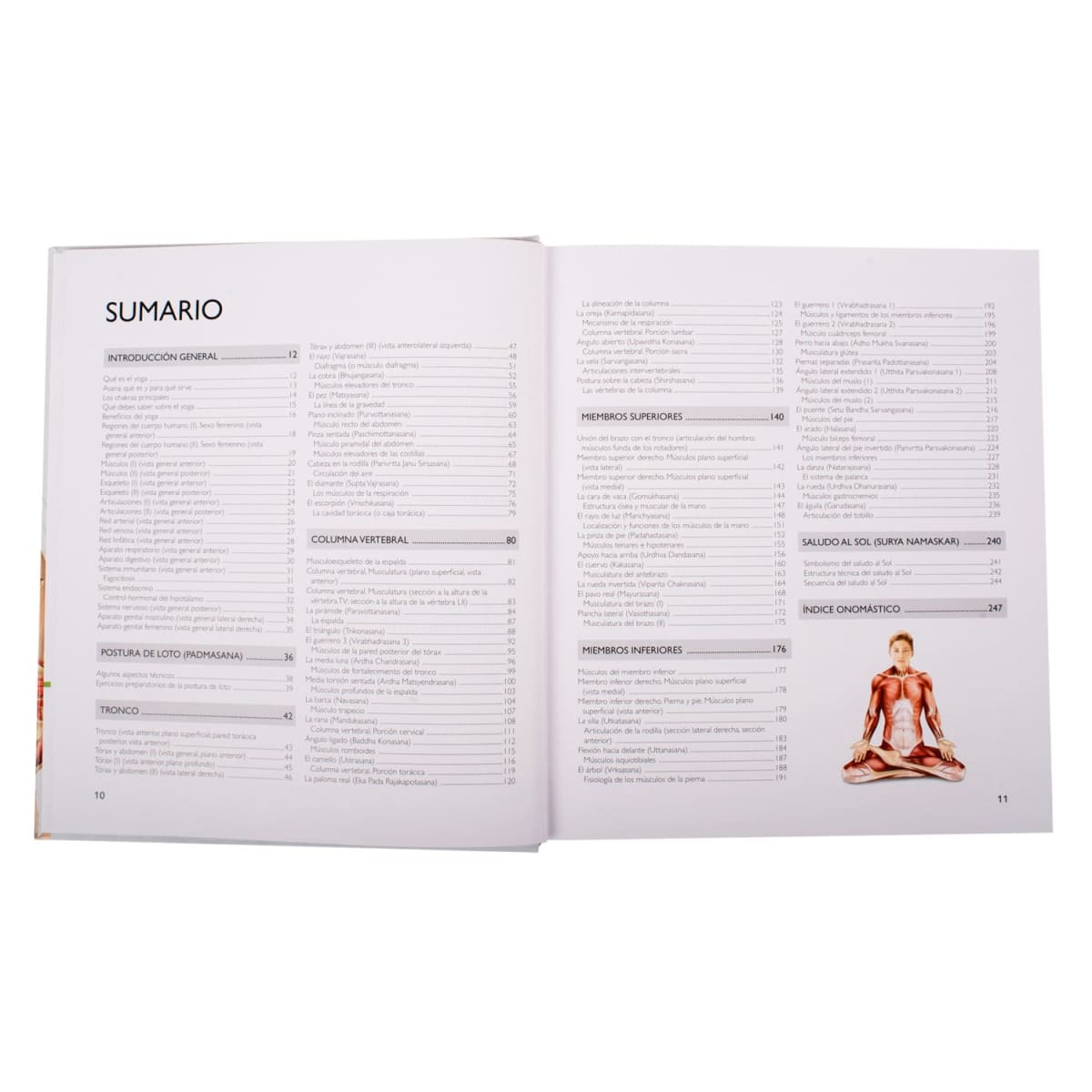 YOGA ANATOMIA POSTURAS3