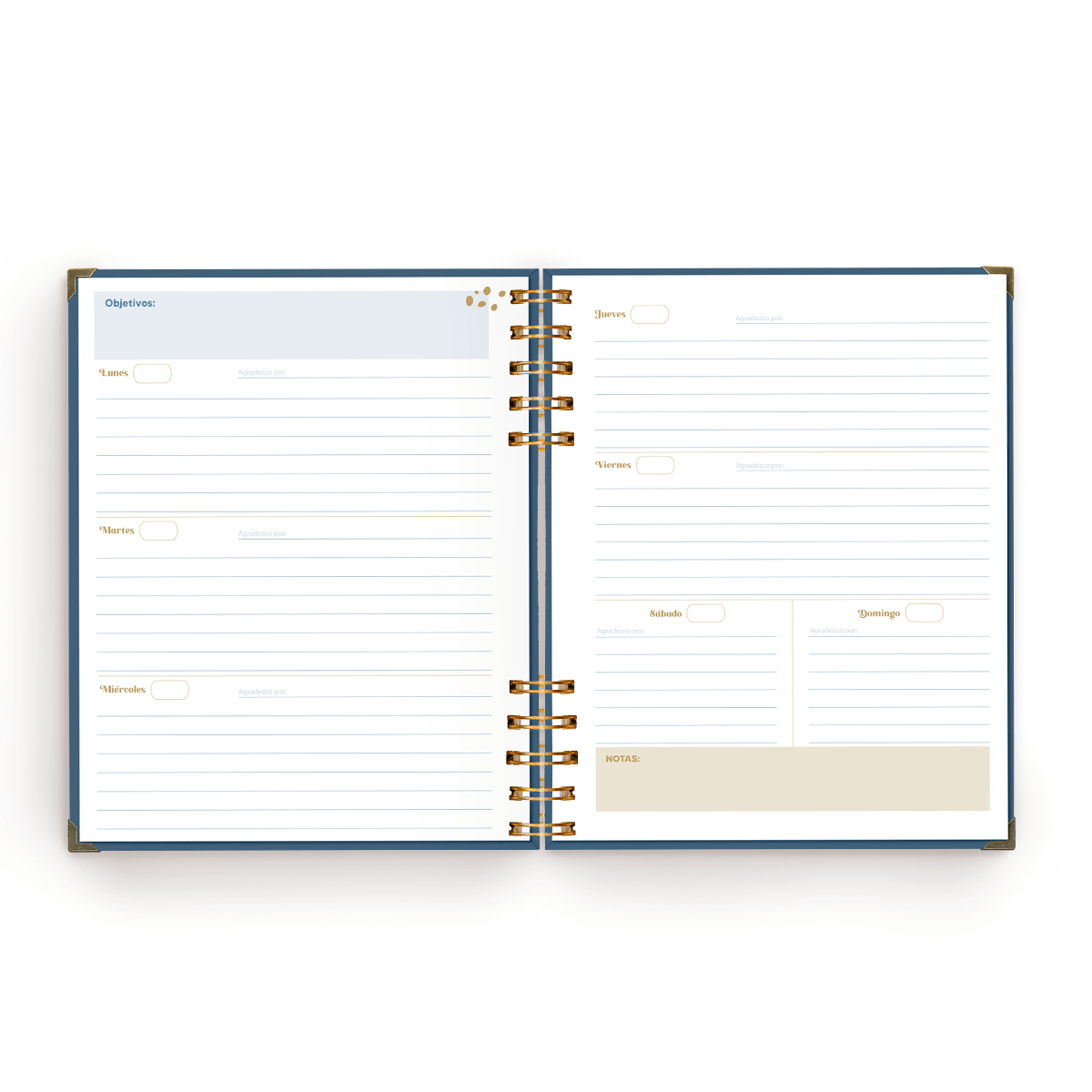 AGENDA CON FECHAS LIBRE VIVE5