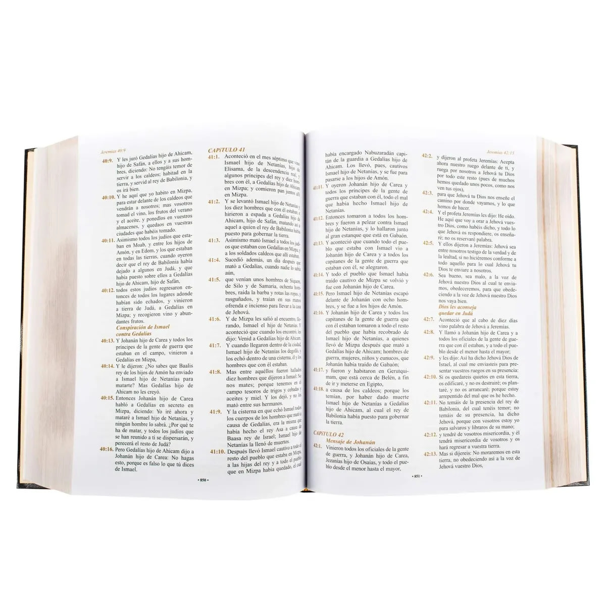 SANTA BIBLIA - REINA VALERA GRANDE BORDES DORADOS4