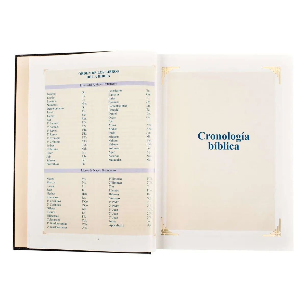 SANTA BIBLIA - REINA VALERA GRANDE BORDES DORADOS2