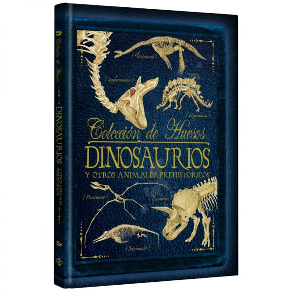 COLECCION HUESOS DINOSAURIOS1