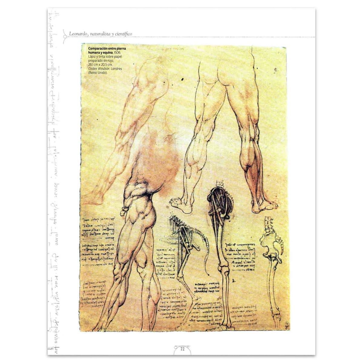 EL GENIO UNIVERSAL LEONARDO2