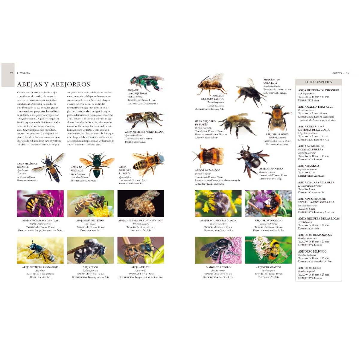 ENCICLOPEDIA MICROANIMALES2