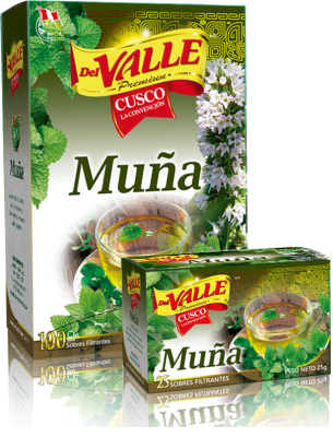 Del Valle Muña x25 Filtrantes