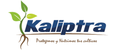 KALIPTRA