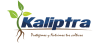 KALIPTRA